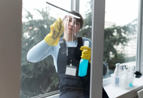 Nettoyage de vitres intérieures et extérieures à Saint-Léger-la-Montagne